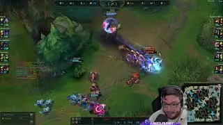 Coached another Zyra Support to greatness.. I hope.