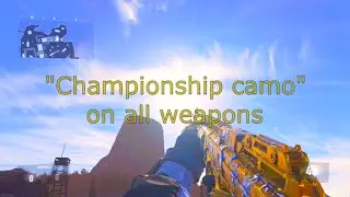 Call of Duty: Advanced Warfare - Championship Camo on all weapons