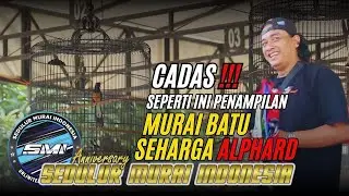 ANNIVERSARI SMI || MB ROSSI 46 Cadas dikelas Utama.Burung Seharga ALPHARD