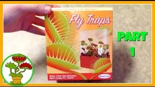 Venus Fly Traps: Part 1