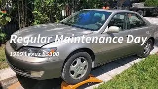 Regular Maintenance Day for 99 ES300 | Oil Change, Tire Rotation, Steering Suspension Check