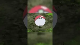Goh catches a Galarian Stunfisk