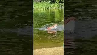 24 июня 2024 г.