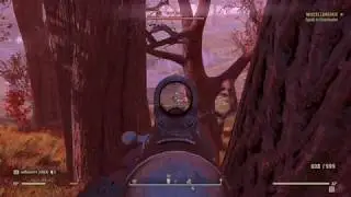 Fallout 76 Survival Mode Review