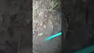 Я В ШОКЕ Загадки Природы. Как тебя зовут (((