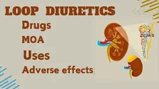 Why Diuretics Are More Than Just Water Pills