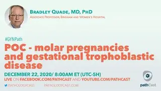POC - molar pregnancies and gestational trophoblastic disease - Dr. Quade (BWH) 