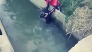 .webm