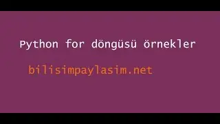 python for döngüsü soru çözümleri