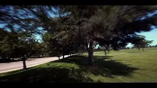 Feeling the Buzz (Emax Buzz)