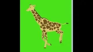 Greeen screen video of GIRAFFE  make an animation channel