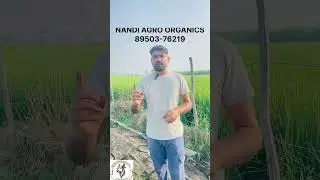 Best Quality Vermicompost #YouTubeShorts#Shorts#Viral#Trending#NewVideo#MustWatch#BestShorts#YouTube