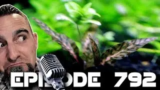 Corvus Oscen Live! Episode 792!