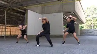 Chris Brown - Go Crazy Challenge