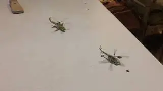 Mi-24 and Mi-8
