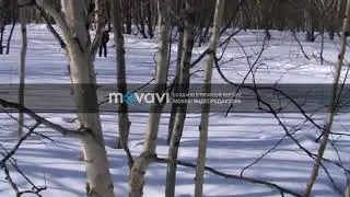 Тунгус Т600. Поездка с дочкой на Авачу