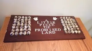 July Quail Update