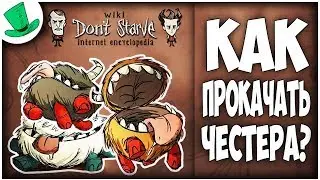 Don't Starve Wiki | КАК ПОМЕНЯТЬ СКИН ЧЕСТЕРУ?