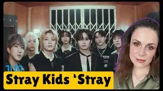 Stray Kids ‘Stray Kids’ MV/ REACTION