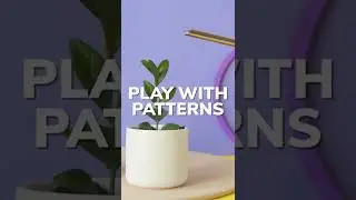 Some Ideas for Still Life Photography