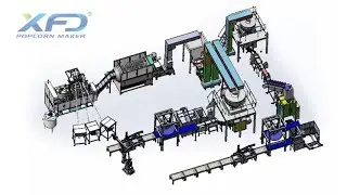 XFD Oil Popping and Savory Popcorn Line with Wet Popping and Pillow Bag and Carton Packing Line