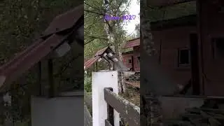 заброшенный парк