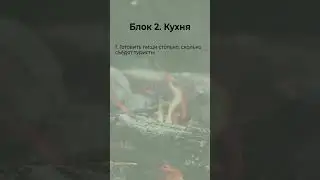 Как ходить в поход с минимальным экологическим следом