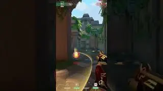 Aimbot Champion Vandal 