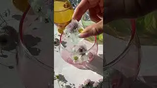 🍓 SPRING SPOILER 🍓 Yield Millennium Glasses (Pack of 4)