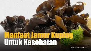 Catat Nutrisi & Manfaat Jamur Kuping untuk Kesehatan