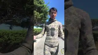 A NorCal Spearfishing ESSENTIAL