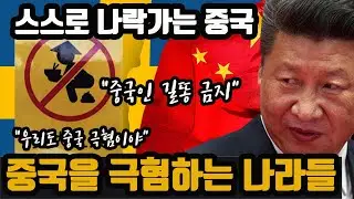 "중국 손절"  스스로 나락가는 중국  [ 중국을 극혐하게된 나라들 ]