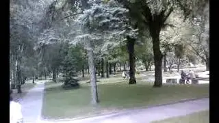 рагули в Кремле