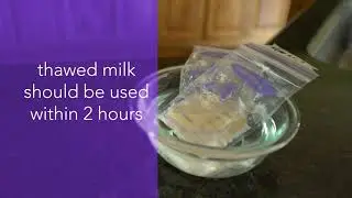 Baby Milk Facts | Penfield Children's Center