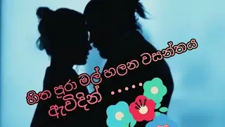 හිත පුරා මල් හලන වසන්තය ඇවිදින්  ( mature love ❤  ) 20 @ JANU  9522 💜💜
