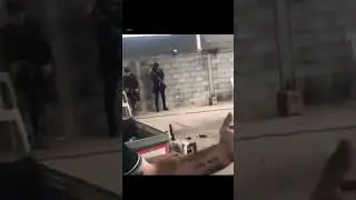 El nini y el perris burlandose del mini lic #shorts