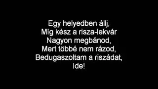 (Hungarian) Penguins of Madagascar - Put Your Groove in this Jar Lyrics