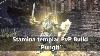 ESO l High DD Stamina Templar PvP Build