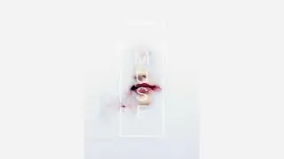 Vicktor Taiwò - Letters