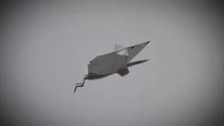 Year of the Rat