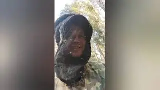 Работа! и Прогулка в Сосновом Бору!