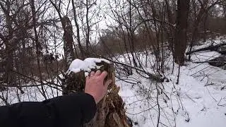 ПО ЗВЕРИНОЙ ТРОПЕ ЧЕРЕЗ БОЛОТНУЮ ТОПЬ! ПОИСК ИСТОКА!