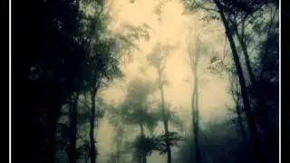 Ravenous Minds ~ Screaming Shadows (Remix)