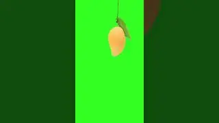 12 June 2020 tiktok mango green screen video vfx effects