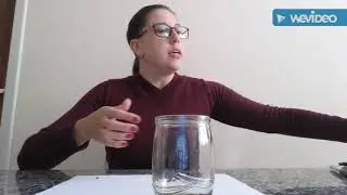 pigmentos fotossintetizantes