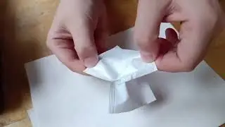 Старания юного натуралиста Георгия.