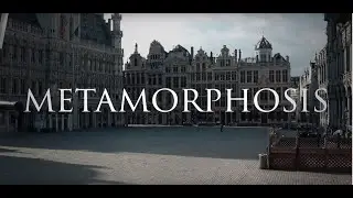 Short documentary: Metamorphosis (3 minutes)