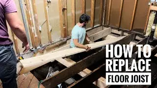 How to Replace a Floor Joist