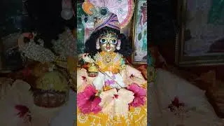 গোপাল সোনাদের সাজগোজ 🙏🙏🙏🙏❤️❤️#shortsvideo #viralshorts #viralshorts