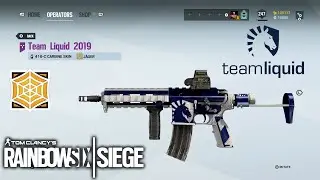 Team Liquid Weapon Skin - Rainbow Six Siege